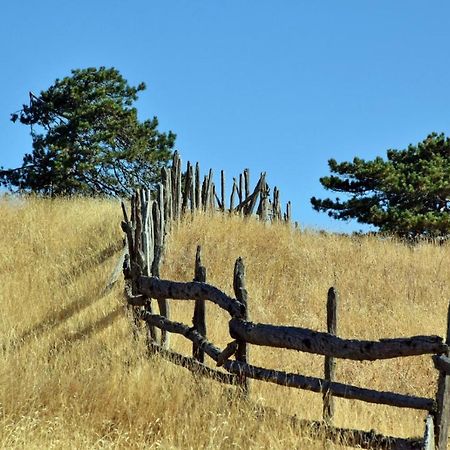 Appartamento Sedmica Zlatibor Vip Bogic Esterno foto