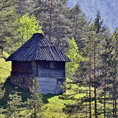 Appartamento Sedmica Zlatibor Vip Bogic Esterno foto