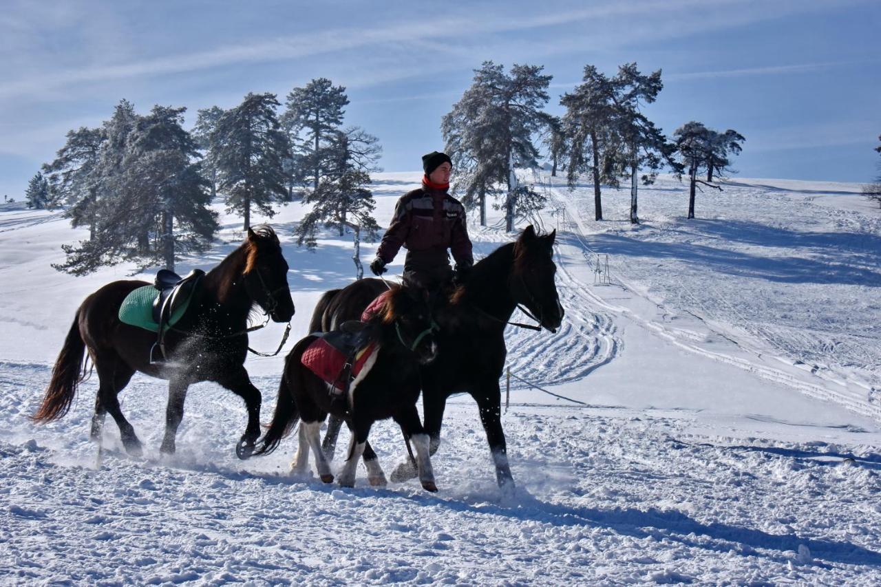 Appartamento Sedmica Zlatibor Vip Bogic Esterno foto