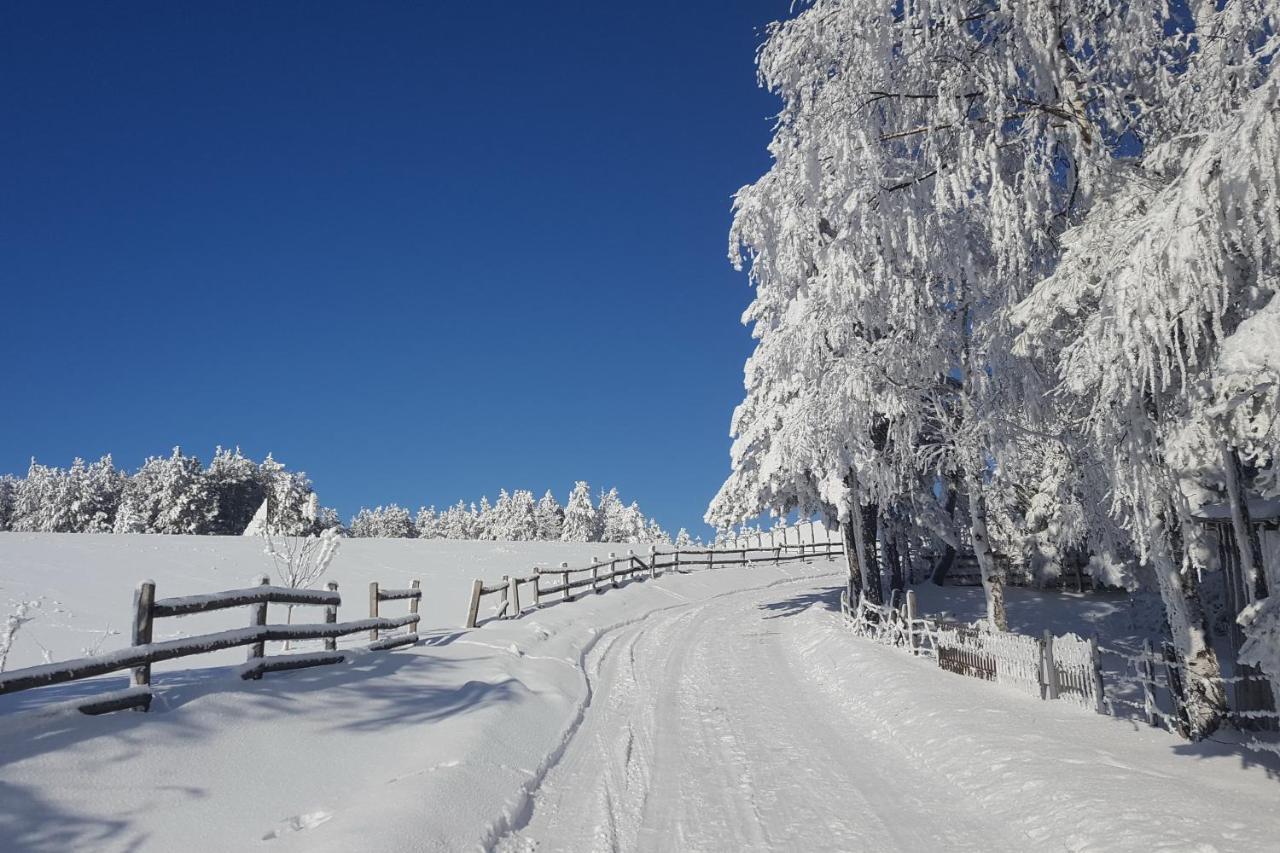 Appartamento Sedmica Zlatibor Vip Bogic Esterno foto
