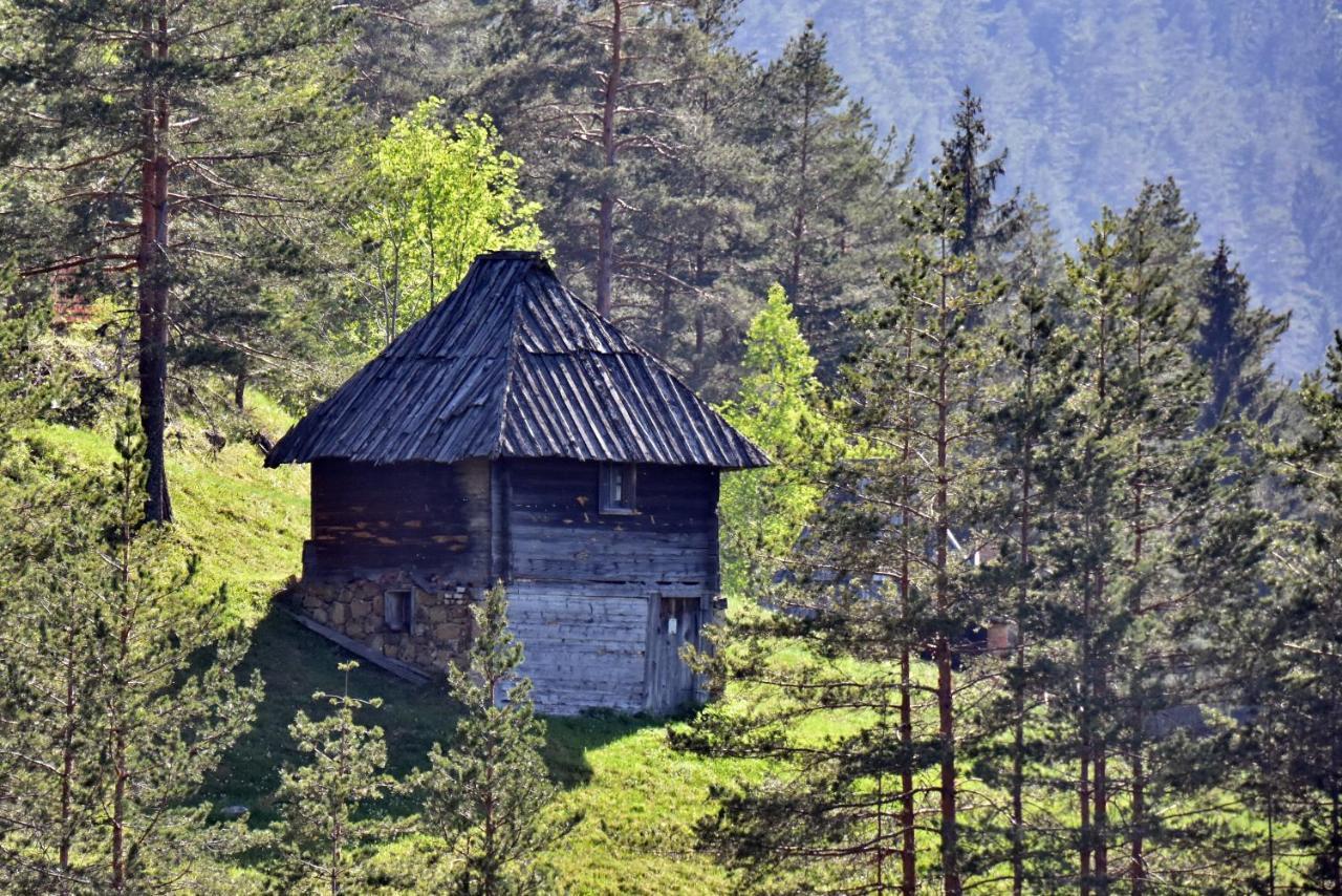 Appartamento Sedmica Zlatibor Vip Bogic Esterno foto