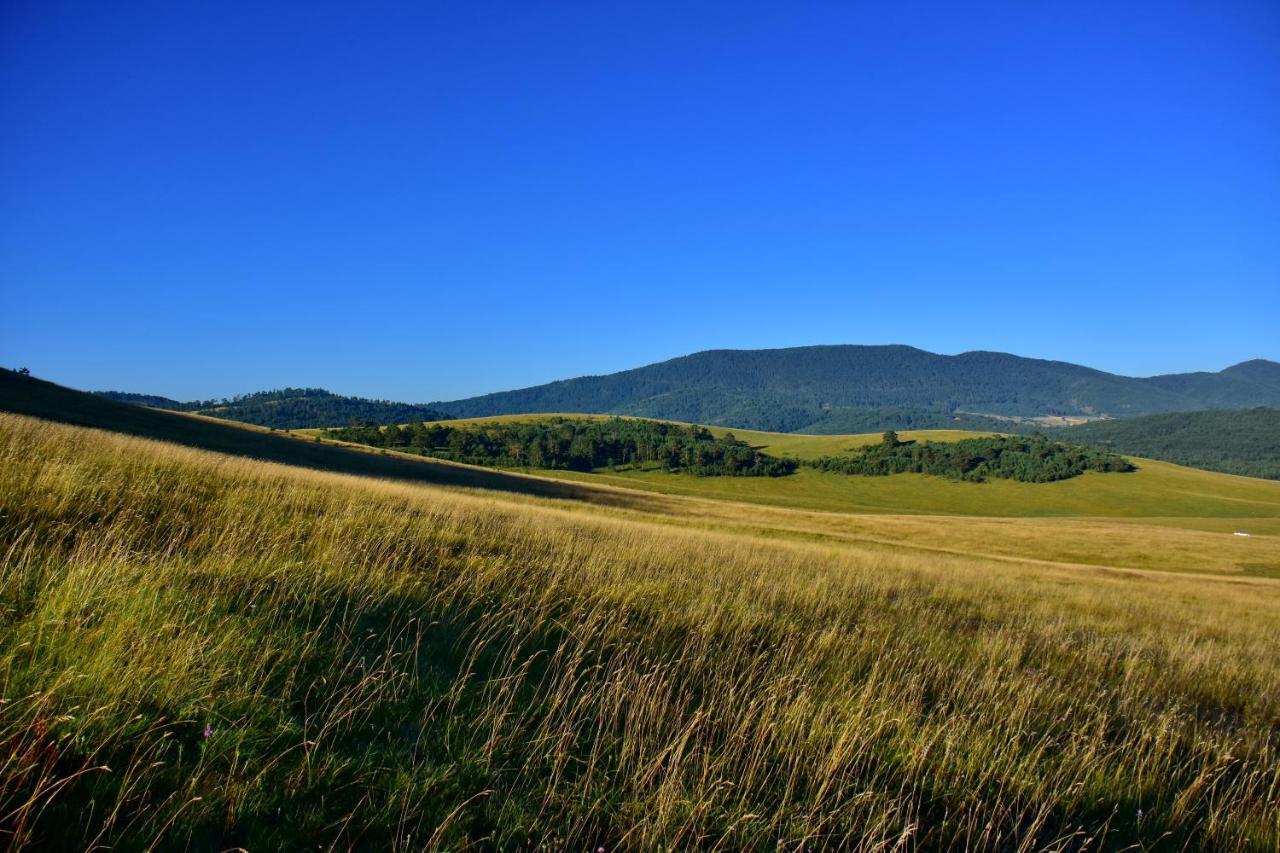 Appartamento Sedmica Zlatibor Vip Bogic Esterno foto